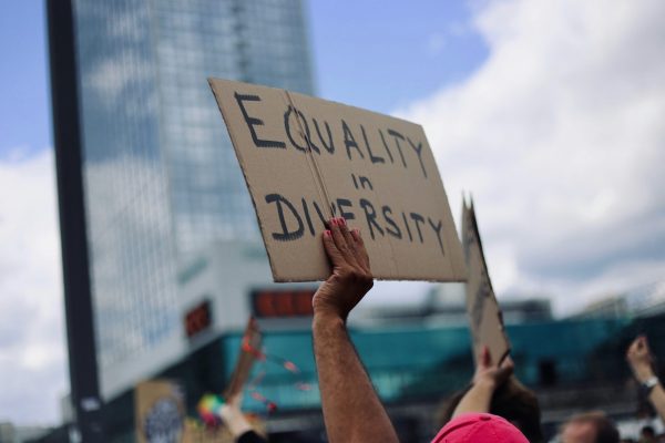 selbstlernkurs-schule-macht-buendnisse eine Person hält ein Schild hoch auf dem steht: Equality and Diversity
